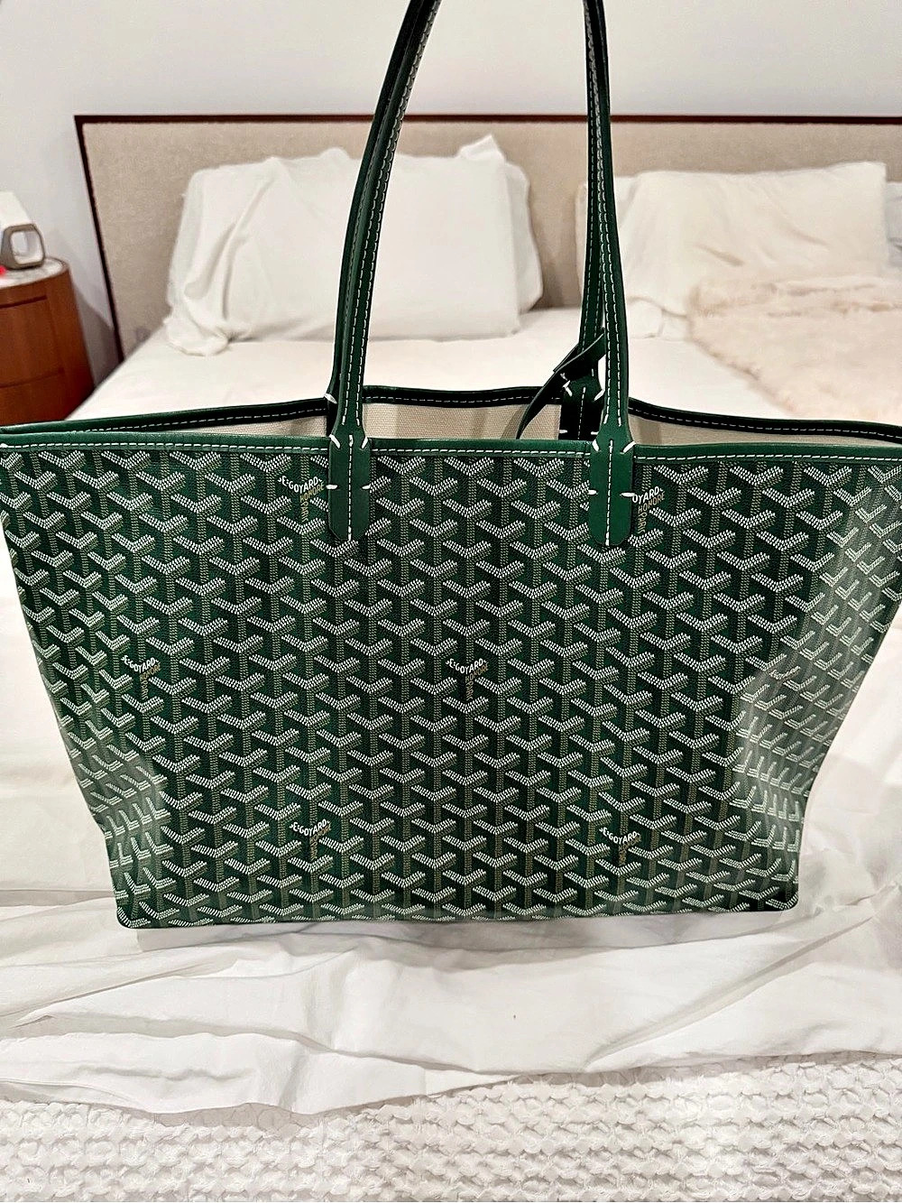 Goyard Saint Louis PM Tote Green & White Tote with Pouch